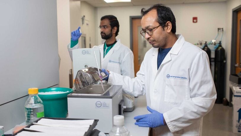 CSHL receives $100K for leukemia research