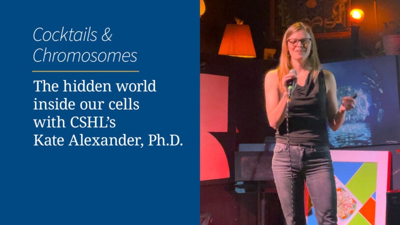 <em>Cocktails & Chromosomes</em>: The hidden world inside our cells