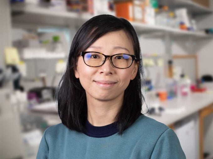 image of CSHL postdoc Hiroe Yoshimura