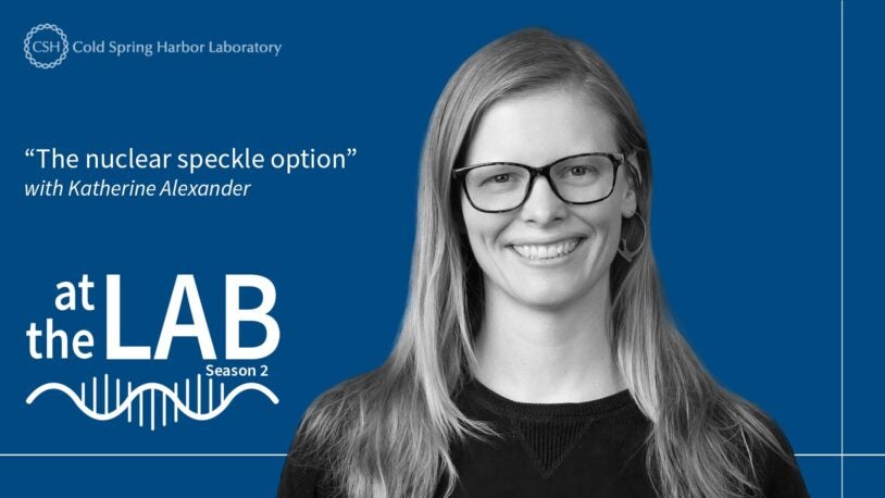 <em>At the Lab</em>: The nuclear speckle option