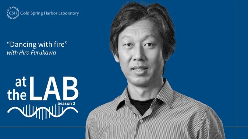 <em>At the Lab</em>: Dancing with fire
