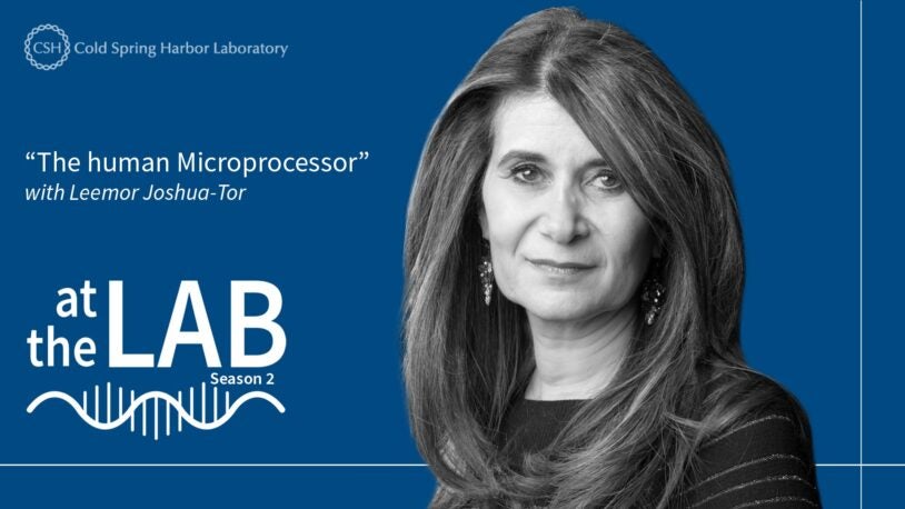 <em>At the Lab</em>: The human Microprocessor