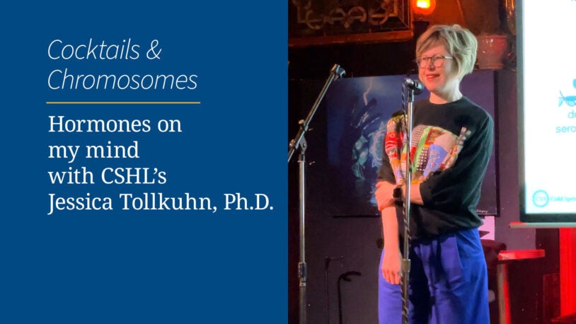 <em>Cocktails & Chromosomes</em>: Hormones on my mind