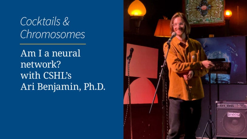 <em>Cocktails & Chromosomes</em>: Am I a neural network?