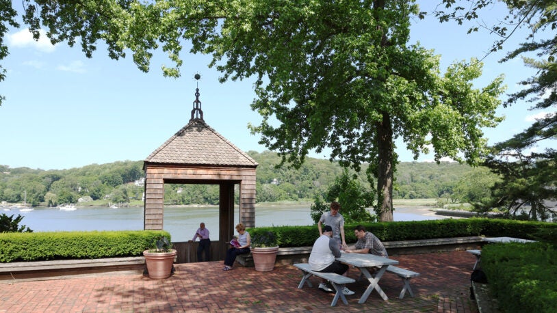 Image of the Adenovirus Gazebo