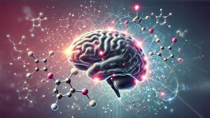 CSHL launches inaugural brain tumor meeting