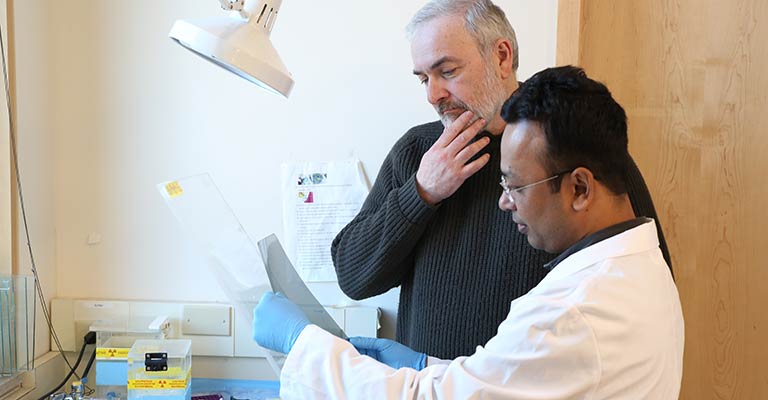 Two scientists examine a transparent sheet in a laboratory, discussing their findings.