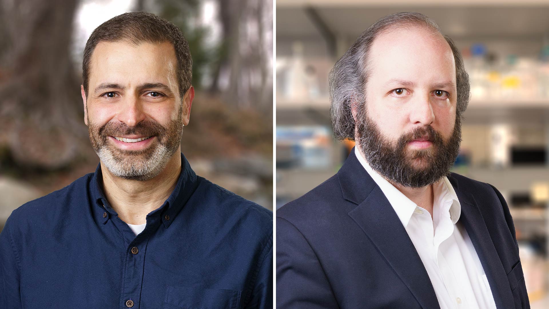 Image of CSHL PI's Zachary Lippman and David McCandlish