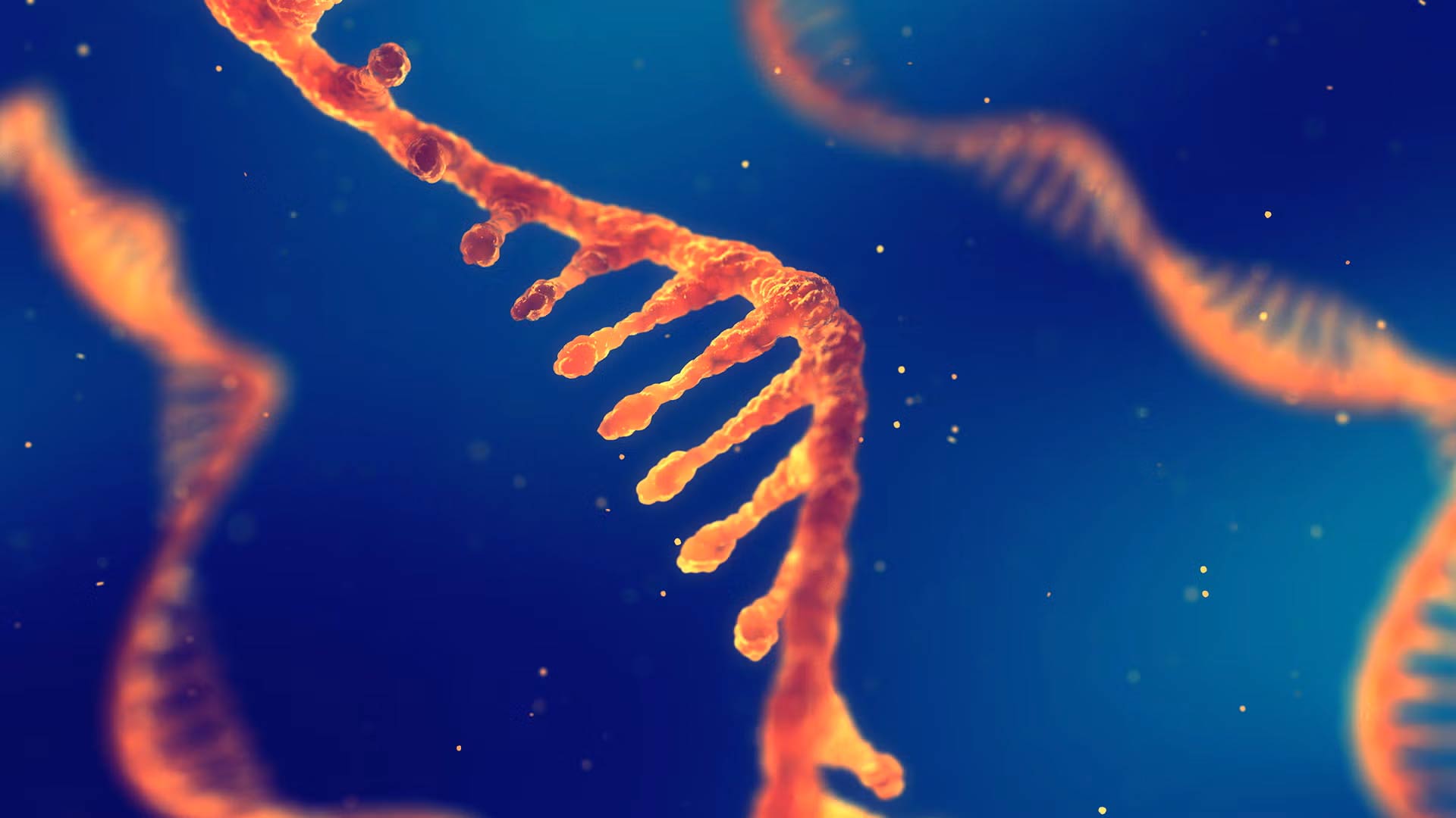 Close-up illustration of a single-stranded RNA molecule with a blue background.