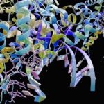 Image of a p53 tumor antigen