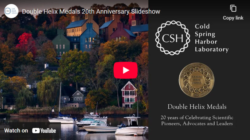 Boats docked by colorful houses; Cold Spring Harbor Laboratory Double Helix Medals 20th Anniversary Slideshow.