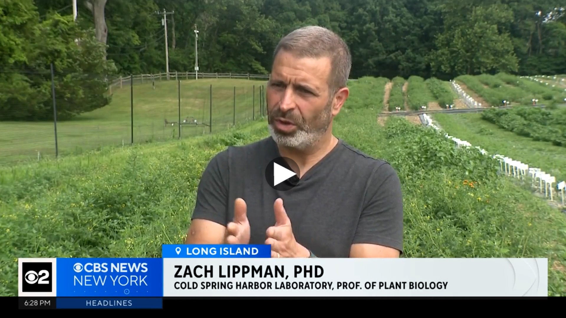 Dr. Zach Lippman speaks outdoors in a green field on Long Island, with a news banner showing his name and credentials.