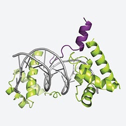 Shapeshifting cancers’ masters, unmasked
