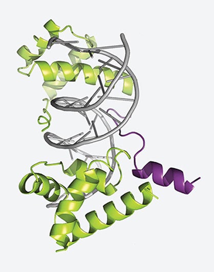 Shapeshifting cancers’ masters, unmasked