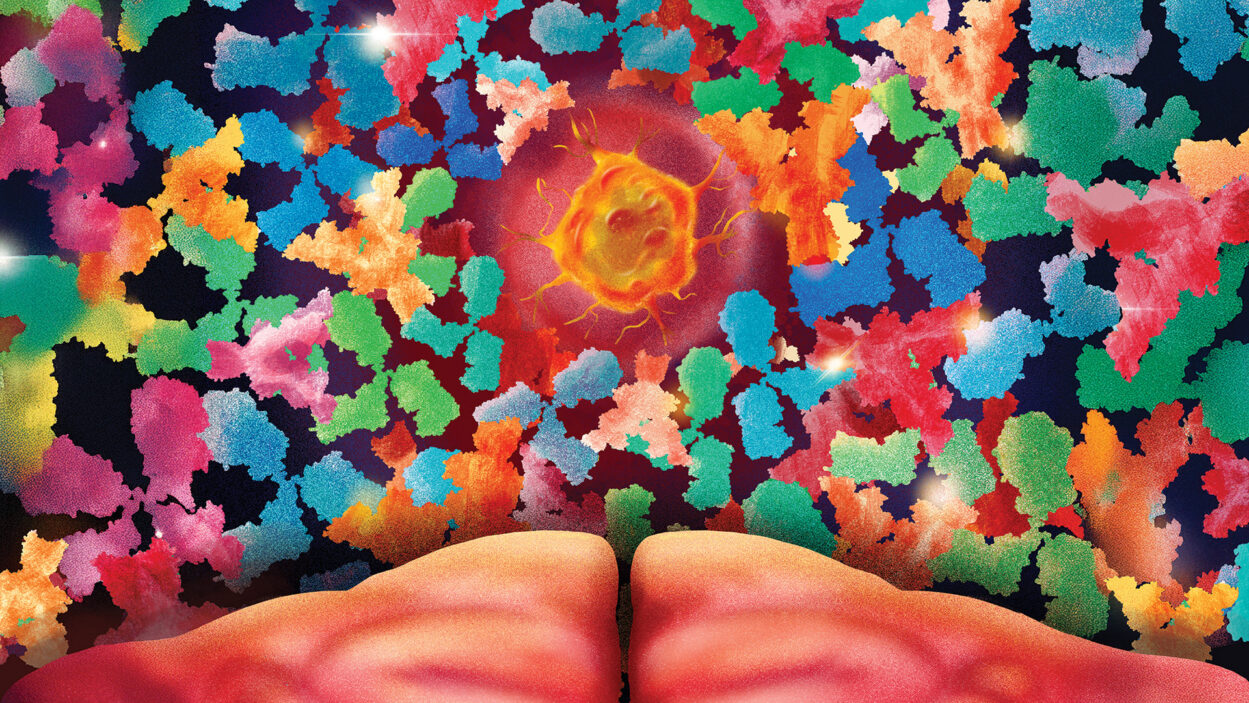 Image of antibodies attacking NMDA receptor