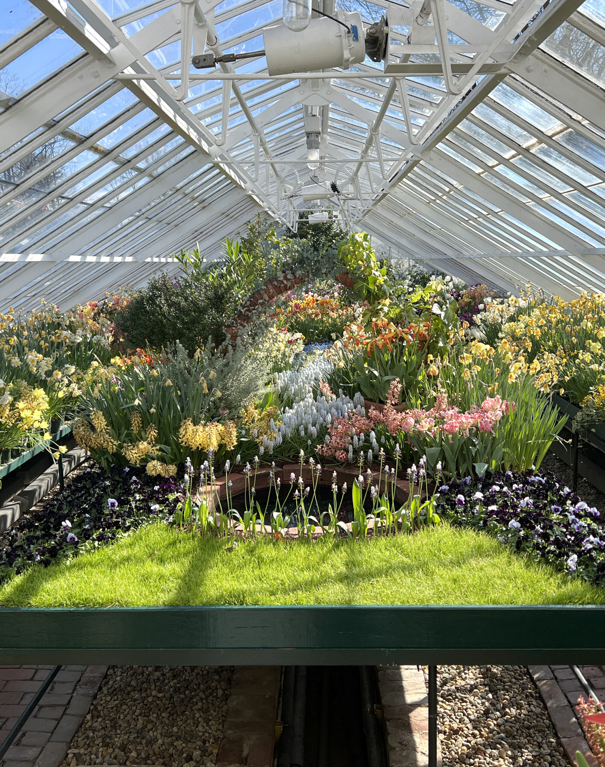 Secrets of evolution found in ancient plant DNA