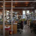 Scientists in lab coats work at benches in a modern laboratory with glass walls and wooden ceiling.