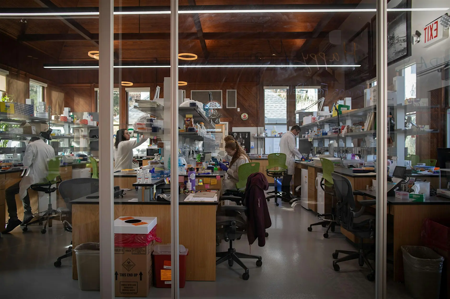 Scientists in lab coats work at benches in a modern laboratory with glass walls and wooden ceiling.